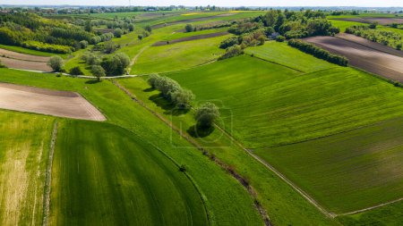 Beautiful farmland and coutryside in Ponidzie, Poland. Aerial drone view'