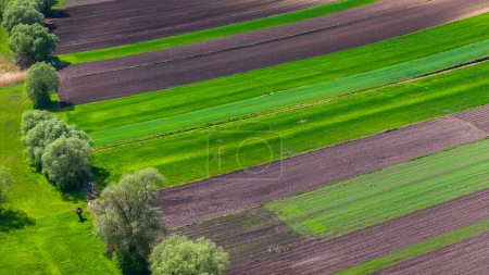 Farbenfrohe landwirtschaftliche Nutzflächen und Felder. Drohnenblick aus der Luft