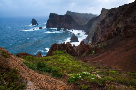 Ponta de Sao Lourenco con flores silvestres y acantilados en el Océano Atlántico. Madeira, Portugal.