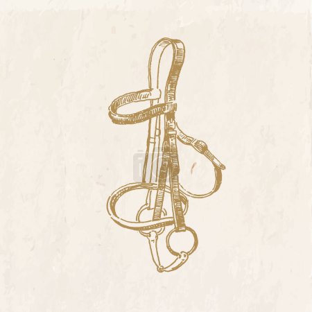 Ilustración de Ilustración dibujada a mano de la brida clásica del caballo, dibujo del estilo vintage, tachuela de la equitación - Imagen libre de derechos
