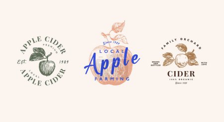 Téléchargez les photos : Ensemble de modèle de logo de cidre de pomme, emblème des produits à base de jus de pomme. Fruits de pomme dessinés à la main - en image libre de droit