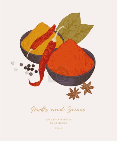 Hand drawn illustrations of spices and culinary herbs. Graphic elements for cook book design, restaurant menu and recipe sheets