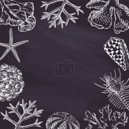 Téléchargez les photos : Tableau noir avec coquillages et dessins de coraux. Design de bordure, bannière d'illustration d'été - en image libre de droit