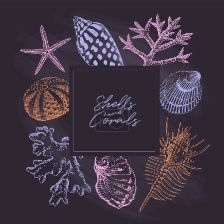 Téléchargez les photos : Tableau noir avec coquillages et dessins de coraux. Design de bordure, bannière d'illustration d'été - en image libre de droit
