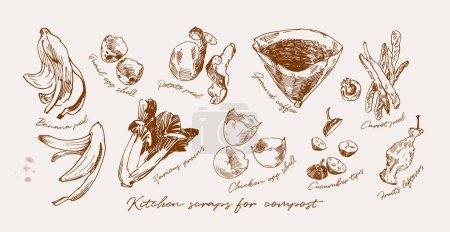 Illustration for Hand drawn illustration of food scraps suitable for composting. Reducing waste concept - Royalty Free Image