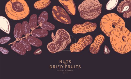 Téléchargez les photos : Assortiment de noix et de fruits secs dessinés à la main. Bordure horizontale, gabarit de conception de fond - en image libre de droit