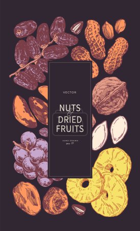 Foto de Frutos secos y frutos secos ilustraciones dibujadas a mano. Plantilla de diseño - Imagen libre de derechos