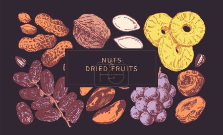 Téléchargez les photos : Noix et fruits secs illustrés à la main. Modèle de conception de fond - en image libre de droit