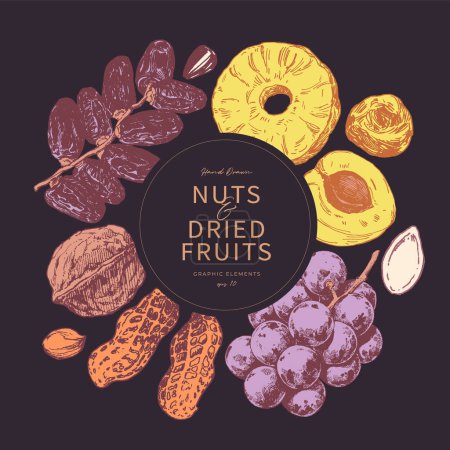 Téléchargez les photos : Assortiment de noix et de fruits secs dessinés à la main. Modèle de cadre rond - en image libre de droit