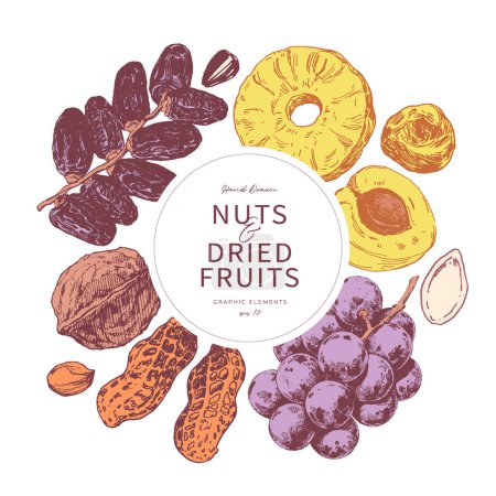 Téléchargez les photos : Assortiment de noix et de fruits secs dessinés à la main. Modèle de cadre rond - en image libre de droit