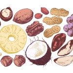 Assorted nuts and dried fruits hand drawn illustrations, coloured and isolated on white background