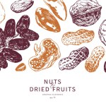 Nuts and dried fruits hand drawn illustrations. Background design template