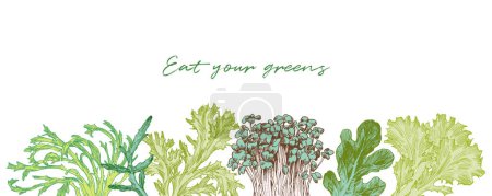 Téléchargez les photos : Légumes de laitue, dessins de style gravé. Design horizontal de bordure - en image libre de droit