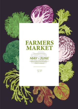 Téléchargez les photos : Modèle d'affiche de légumes de marché des agriculteurs. Chou et laitue dessinés à la main - en image libre de droit