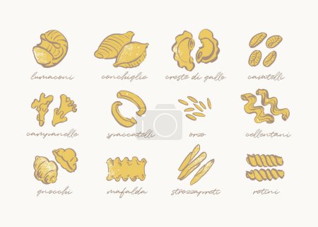 Sketchy drawing of different pasta types, hand drawn pasta guide