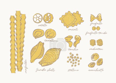 Skizzenhafte Zeichnung verschiedener Nudelsorten, handgezeichneter Pasta-Führer