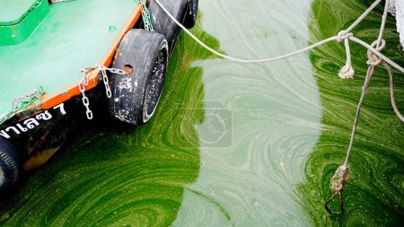 Téléchargez les photos : CHONBURI, THAÏLANDE - 7 SEP : Floraison de plancton en mer avec fond de bateau à passagers le 7 septembre 2023 à Si racha, Chonburi, Thaïlande - en image libre de droit
