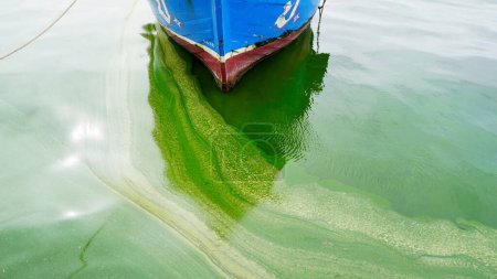 Téléchargez les photos : CHONBURI, THAÏLANDE - 7 SEP : Plancton bloom mer avec fond de bateau de pêche sur 7 Septembre 2023 à Si racha, Chonburi, Thaïlande - en image libre de droit