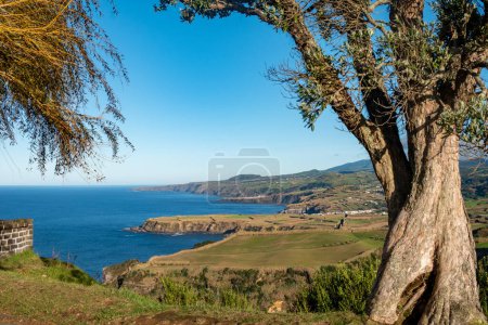 View of coastline in Azores, Sao Miguel, Portugal, Europe