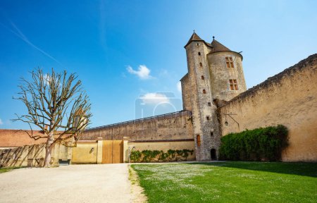 Foto de Old tree in internal court surrounded by walls and towers of Blandy-les-Tours castle France - Imagen libre de derechos