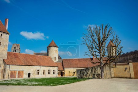 Photo for Old tree in internal court surrounded by walls and towers of Blandy-les-Tours castle is a in the Seine-et-Marne department - Royalty Free Image