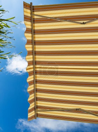 Téléchargez les photos : Parasol de fenêtre d'été ombre rétractable dans le café ou la maison, vue d'en bas avec de l'herbe de lavande fraîche - en image libre de droit