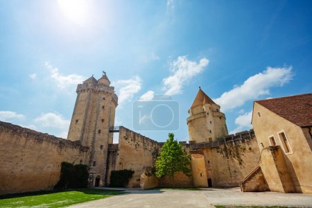 Téléchargez les photos : Murs et tours du château de Blandy-les-Tours par temps ensoleillé sur ciel bleu, France Europe - en image libre de droit
