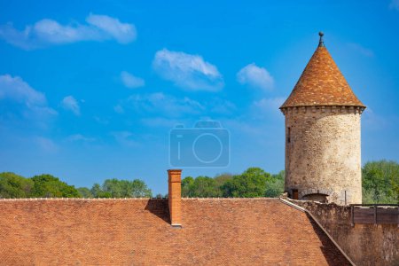Téléchargez les photos : Toit médiéval et tour de l'ancien château de Blandy-les-Tours, France sur l'église Saint-Maurice - en image libre de droit