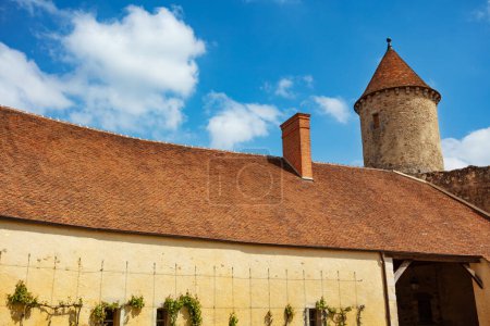 Photo for Vineyard on walls roof old tower of Blandy-les-Tours castle on sunny day over blue sky, France Europe - Royalty Free Image
