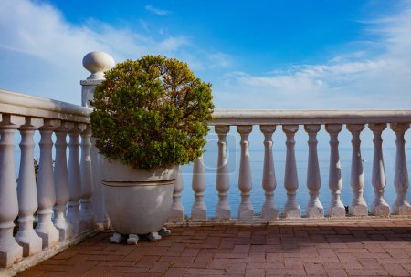 Téléchargez les photos : Gros plan d'un buisson décoratif près de la balustrade balustrade avec mer sur fond - en image libre de droit