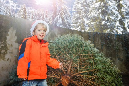 Téléchargez les photos : Un jeune garçon souriant dans un chapeau de Père Noël et des vêtements d'hiver se tiennent joyeusement debout tenant, ramenant l'arbre de Noël à la maison pour les célébrations du Nouvel An - en image libre de droit