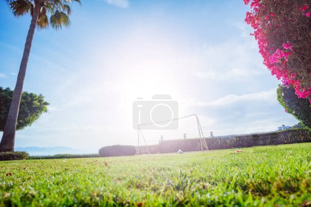Photo for He bright summer sun illuminates the football gates in the garden, casting a warm glow over the green field and blue sky - Royalty Free Image