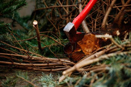 Foto de Imagen de cerca de un hacha en el tronco del abeto de Navidad cortada para las celebraciones de año nuevo - Imagen libre de derechos