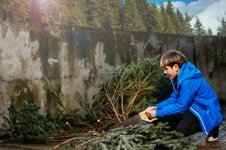 Téléchargez les photos : Portrait d'un garçon tenant une scie près de couper vue sur l'arbre de Noël avec des branches et un tronc prêt pour les célébrations - en image libre de droit