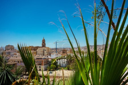 Téléchargez les photos : Vue du clocher de la cathédrale de Malaga Eglise catholique romaine à travers les palmiers au château d'Alcazaba, Andalousie dans le sud de l'Espagne - en image libre de droit