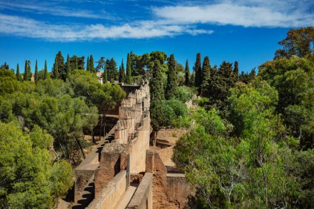 Téléchargez les photos : Murs du château de Gibralfaro forteresse et arbres verts dans la ville de Malaga en Andalousie, Espagne - en image libre de droit