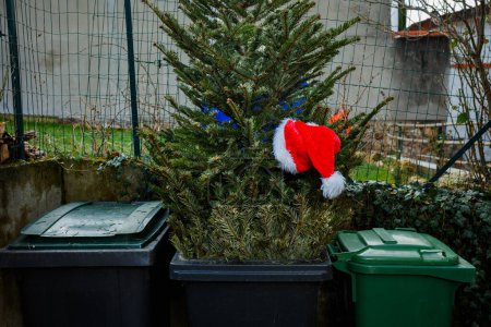 Téléchargez les photos : Gros plan d'un chapeau de Père Noël sur un arbre de Noël jeté dans une poubelle dans la rue après les célébrations de fin d'année - en image libre de droit