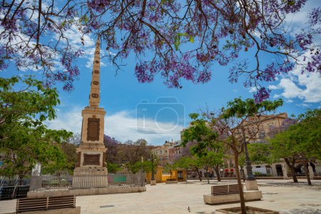 Téléchargez les photos : Plaza de la Merced place publique située dans le centre de Malaga, Espagne et Torrijos monument avec des fleurs violettes arbre - en image libre de droit
