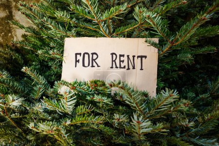 Photo for Cardboard with for rent text in Christmas tree close up image - Royalty Free Image