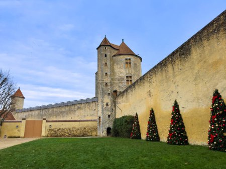 Foto de Decoraciones de árboles de Navidad en las paredes y torres del castillo de Blandy-les-Tours en el día de invierno, Francia Europa - Imagen libre de derechos