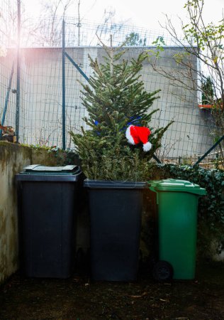 Foto de El sombrero de Papá Noel en el árbol de Navidad está siendo desechado en un cubo de basura en la calle después de que la temporada festiva haya llegado a su fin. - Imagen libre de derechos
