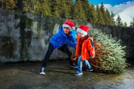 Foto de Dos niños felices con sombreros de Santa Claus y atuendo de invierno tiran a casa con fuerza pesada árbol de Navidad grande para la celebración de Año Nuevo sosteniendo el tronco, sonriendo - Imagen libre de derechos