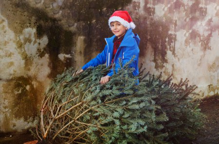 Téléchargez les photos : Un petit garçon vêtu d'un chapeau de Père Noël et de vêtements d'hiver tient joyeusement un sapin de Noël pour les célébrations du Nouvel An - en image libre de droit
