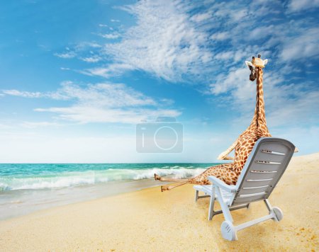 Téléchargez les photos : Girafe assis dans une chaise longue sur une plage de sable relaxant chapeau, regarder la mer, Voyage et concept de station balnéaire - en image libre de droit