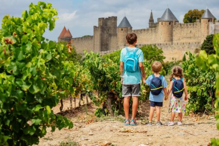 Téléchargez les photos : Petits aventuriers debout dans un vignoble verdoyant prêt à visiter le célèbre site médiéval de Carcassonne ville fortifiée française en Occitanie, France - en image libre de droit
