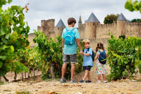 Photo for Little tourist with backpacks walking in French vineyard near famous Carcassonne fortified city in Occitania, France, view from behind - Royalty Free Image
