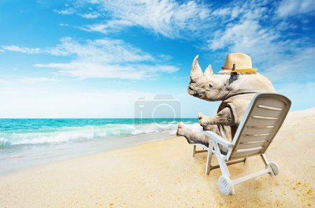 Foto de Rhinoceros sentado en silla de salón en la playa de arena relajante en el sombrero, concepto de viaje - Imagen libre de derechos