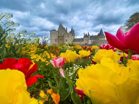 Eine malerische Szenerie mit einem historischen Schloss, umgeben von bunten Tulpen und lebendigen Ringelblumen vor trübem Hintergrund