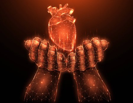 Téléchargez les illustrations : Un donneur cardiaque. Illustration vectorielle polygonale d'une main avec un cœur humain. Concept de don d'organes. Bannière médicale, modèle ou arrière-plan. - en licence libre de droit
