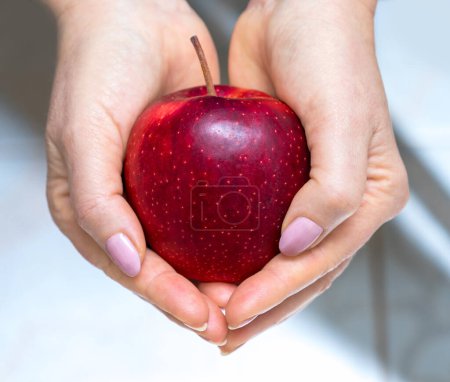 Photo for Red apple in the hands of a girl. Hallowing health. - Royalty Free Image